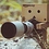 pixtolero